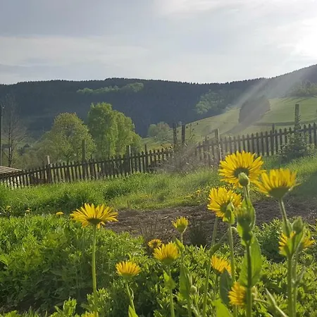 Maison d'hôtes Bergfrieden 3*